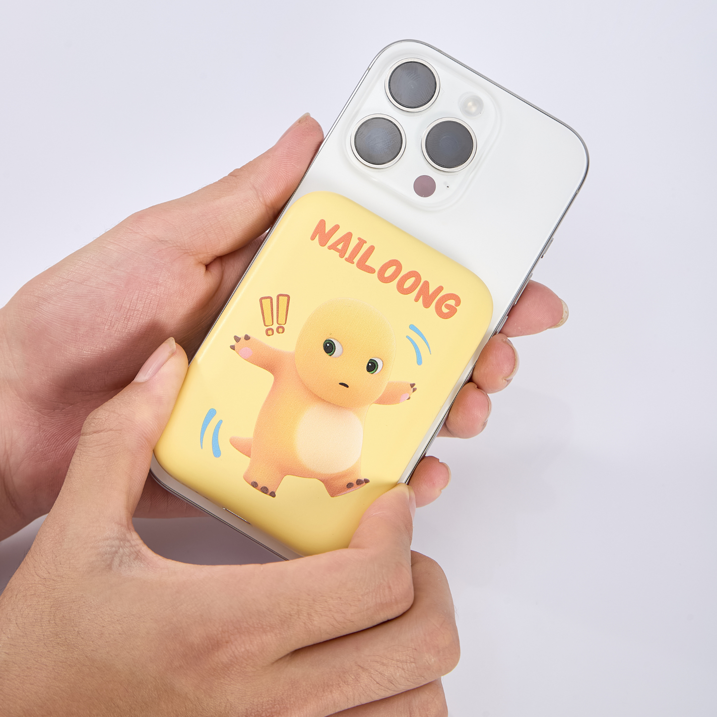 IP Product - Wireless Power Bank