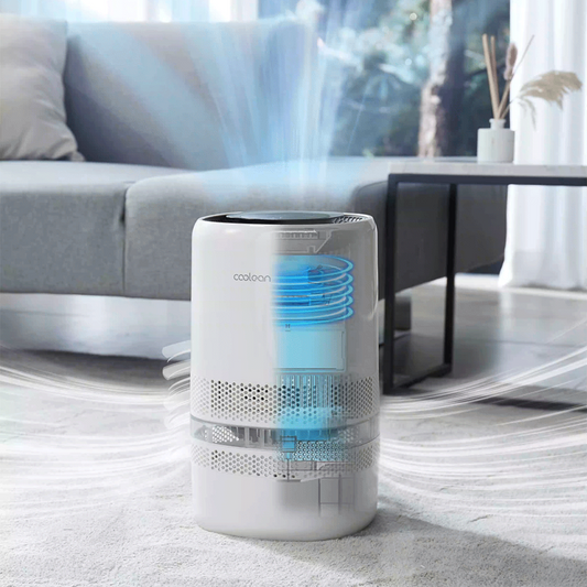 Smart Dual-Function Humidifier & Air Purifier
